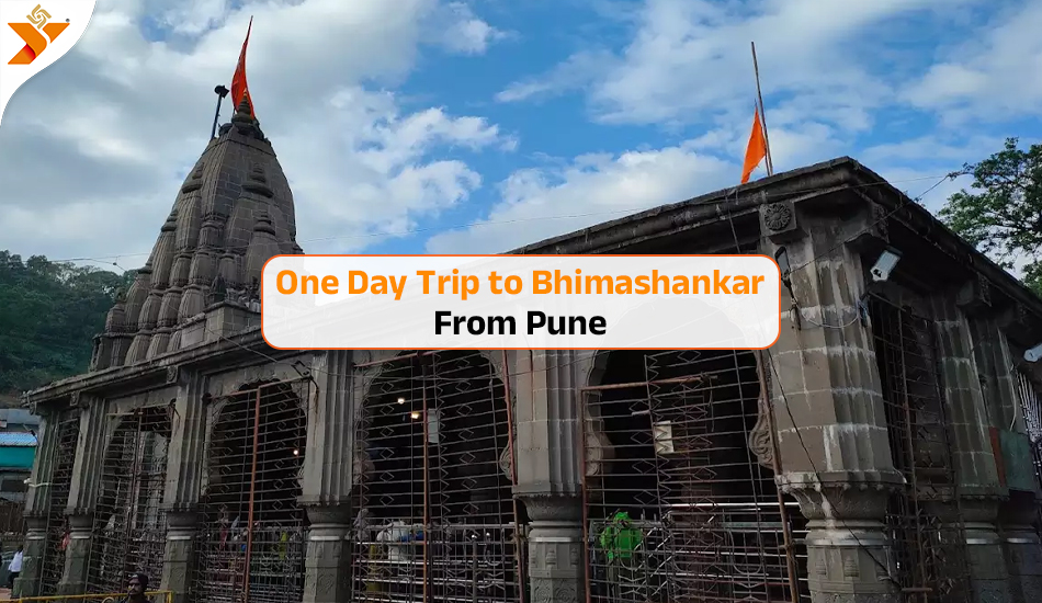 One Day Trip to Bhimashankar from Pune